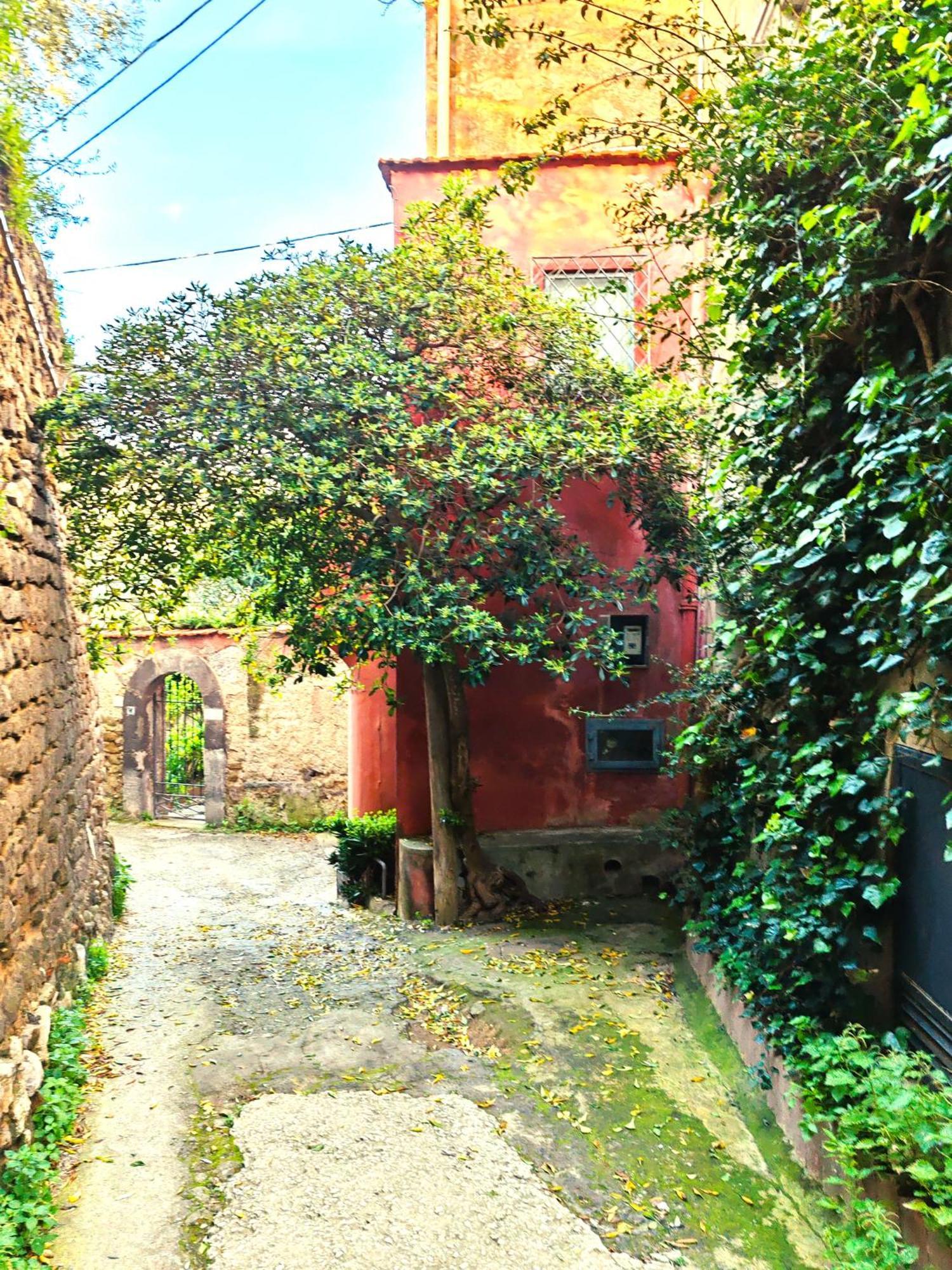 Mediterranea E Casa Del Capricorno Charming Houses มัสซาลูเบรนเซ ภายนอก รูปภาพ